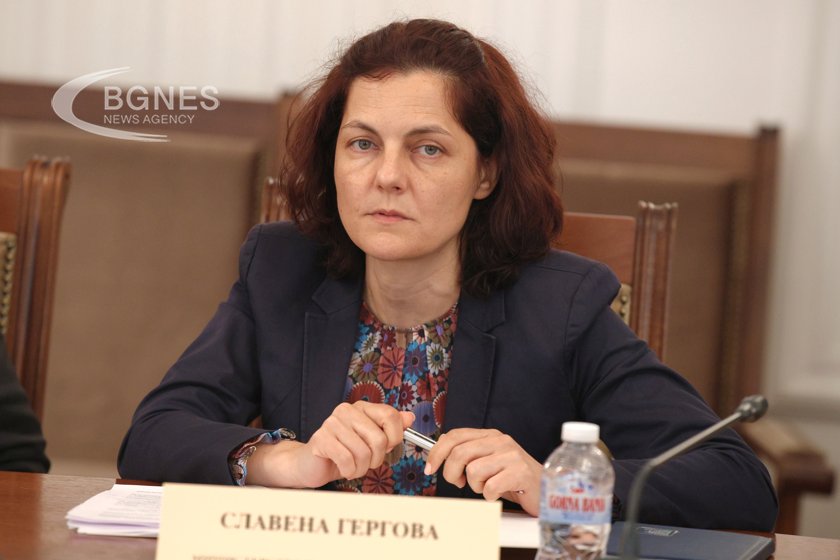 Посланик Гергова: Няма данни за отвлечена българка, в Газа има около 30 български граждани