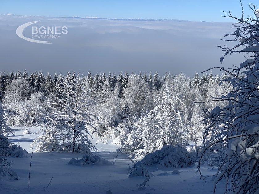 Бяла приказка на Витоша