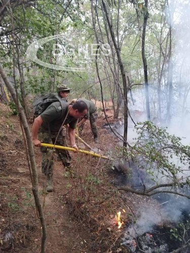 Сухопътни войски оказват помощ в борбата с пожара край Хисаря