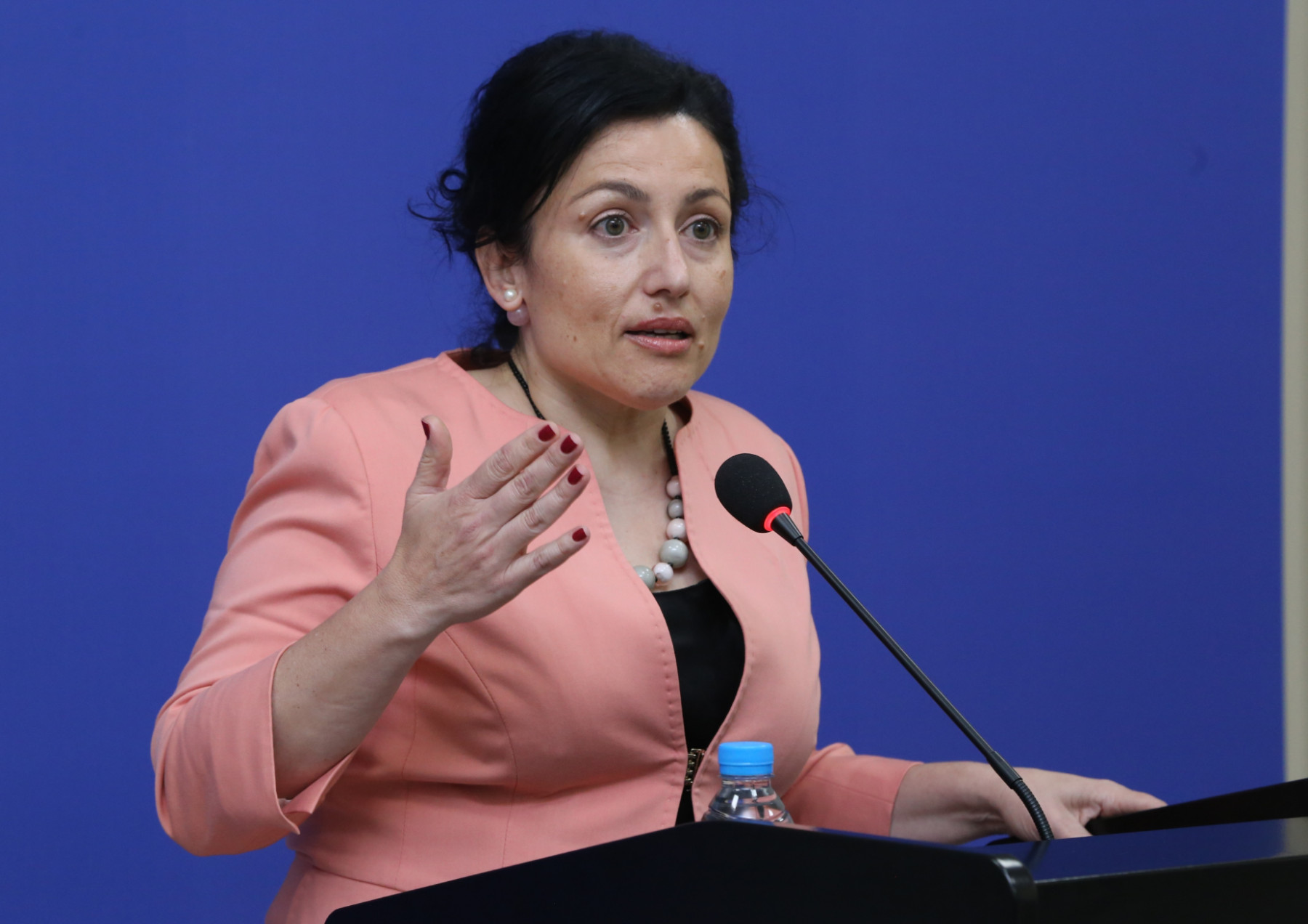 Танева: Продължаваме Промяната доведе до Пълен Провал земеделието