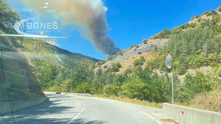 Пожарите край Чепеларе са локализирани