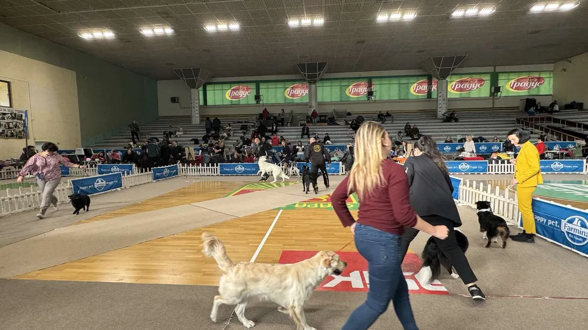 800 кучета на престижна киноложка изложба в Стара Загора