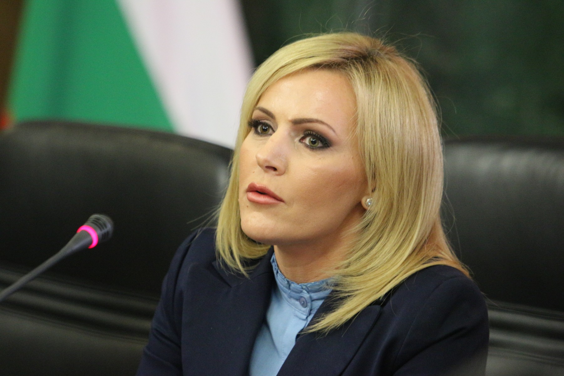 Милева: Престъпността се увеличава, от доста време предупреждаваме институциите и политиците