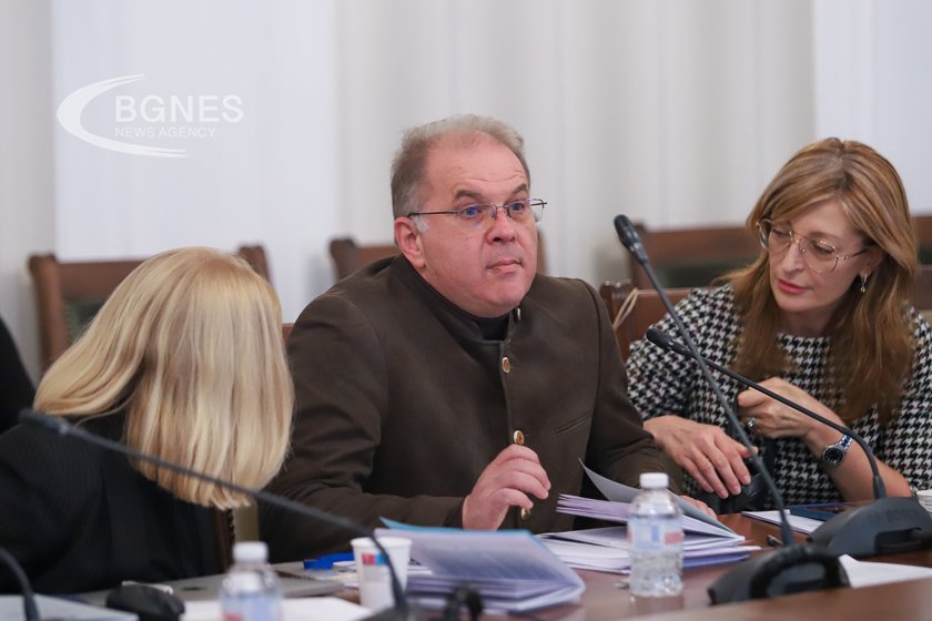 Конституционната комисия: Министри може да са с двойно гражданство, условието за уседналост няма да важи