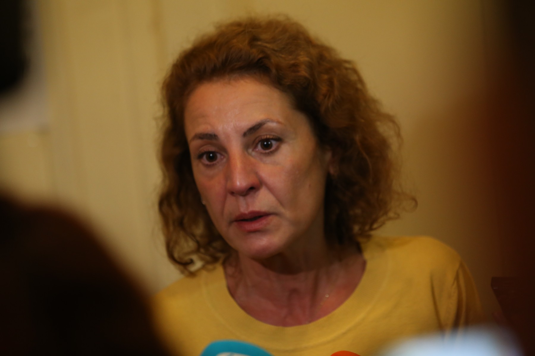 Шефката на „Автомагистрали“: АПИ ни дължи близо 250 млн. лв.