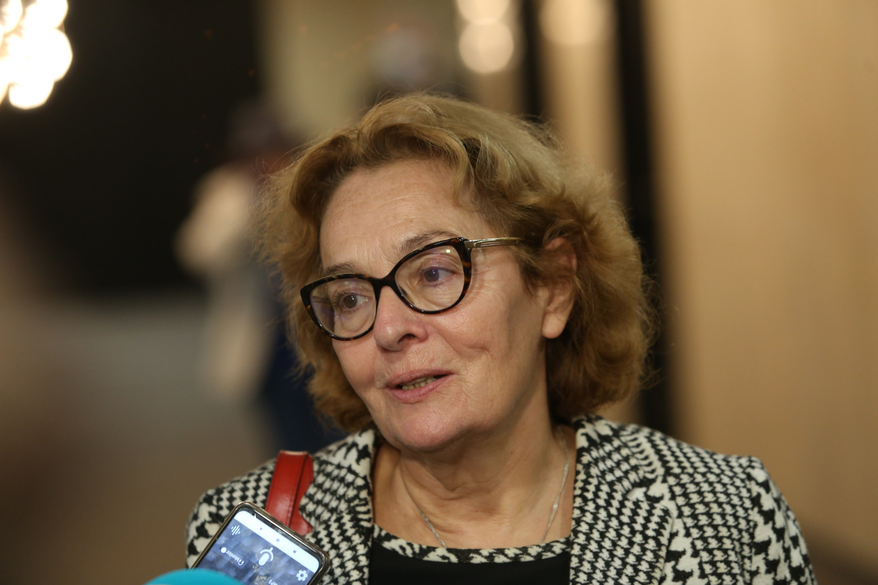 Проф. Румяна Коларова: Партиите бъркат предизборния с парламентарния дебат