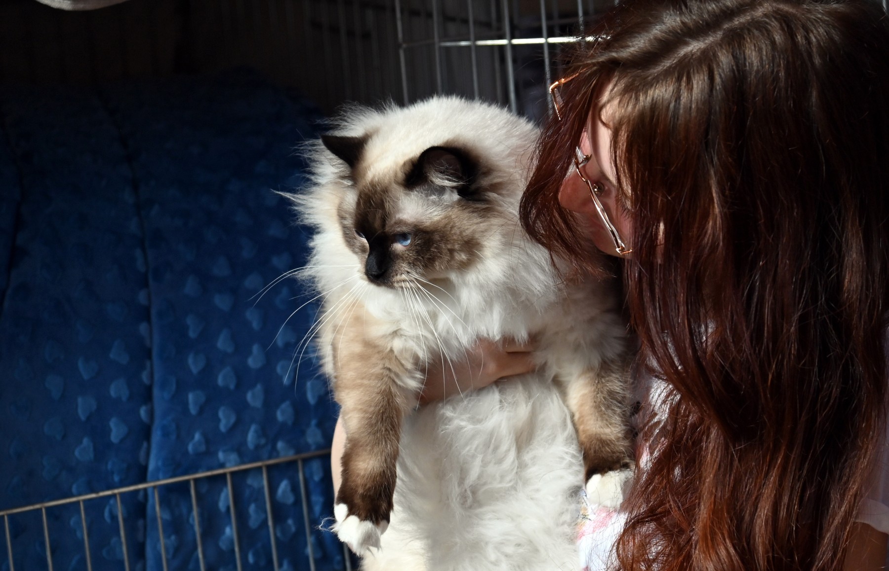 Котките могат да бъдат психотерапевти