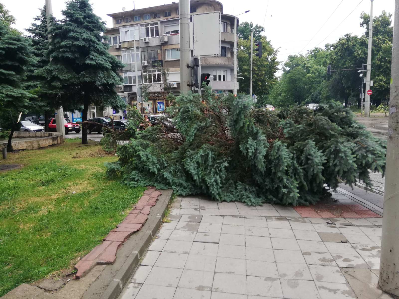 260 сигнала за щети от бурята в Русе, разчистването продължава и днес