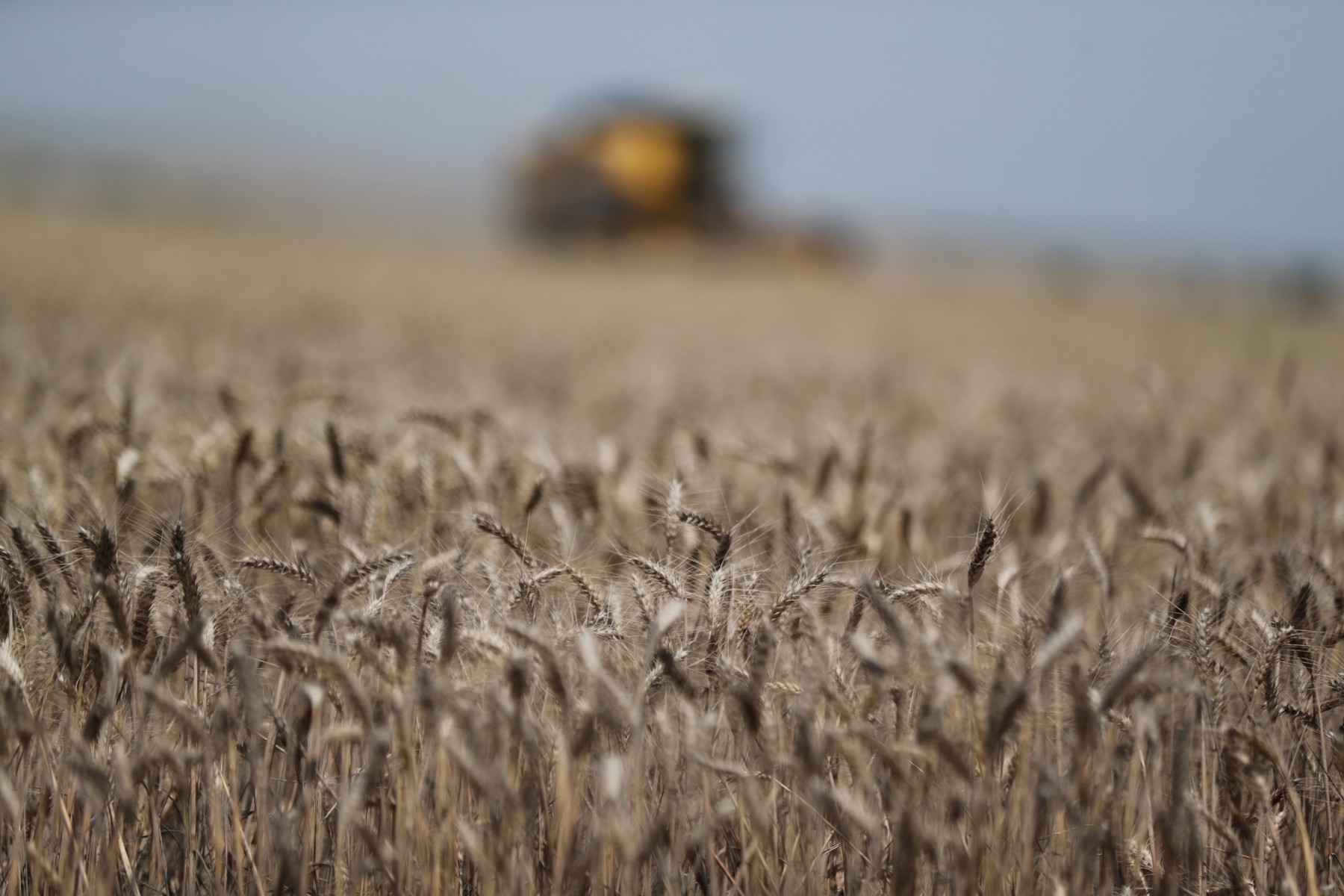 Bulgaria is strengthening ties in agriculture with the Balkan countries