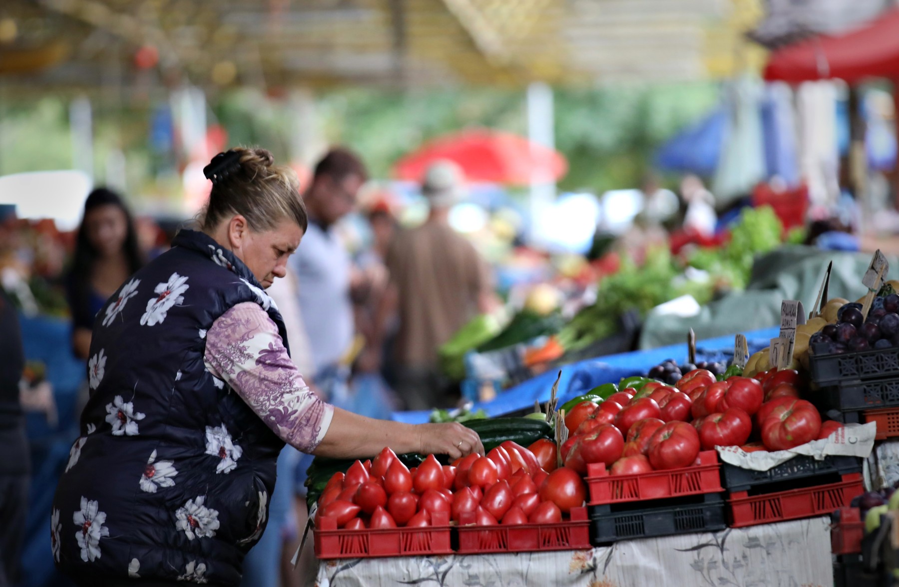 Годишната инфлацията за юли скочи над 17%