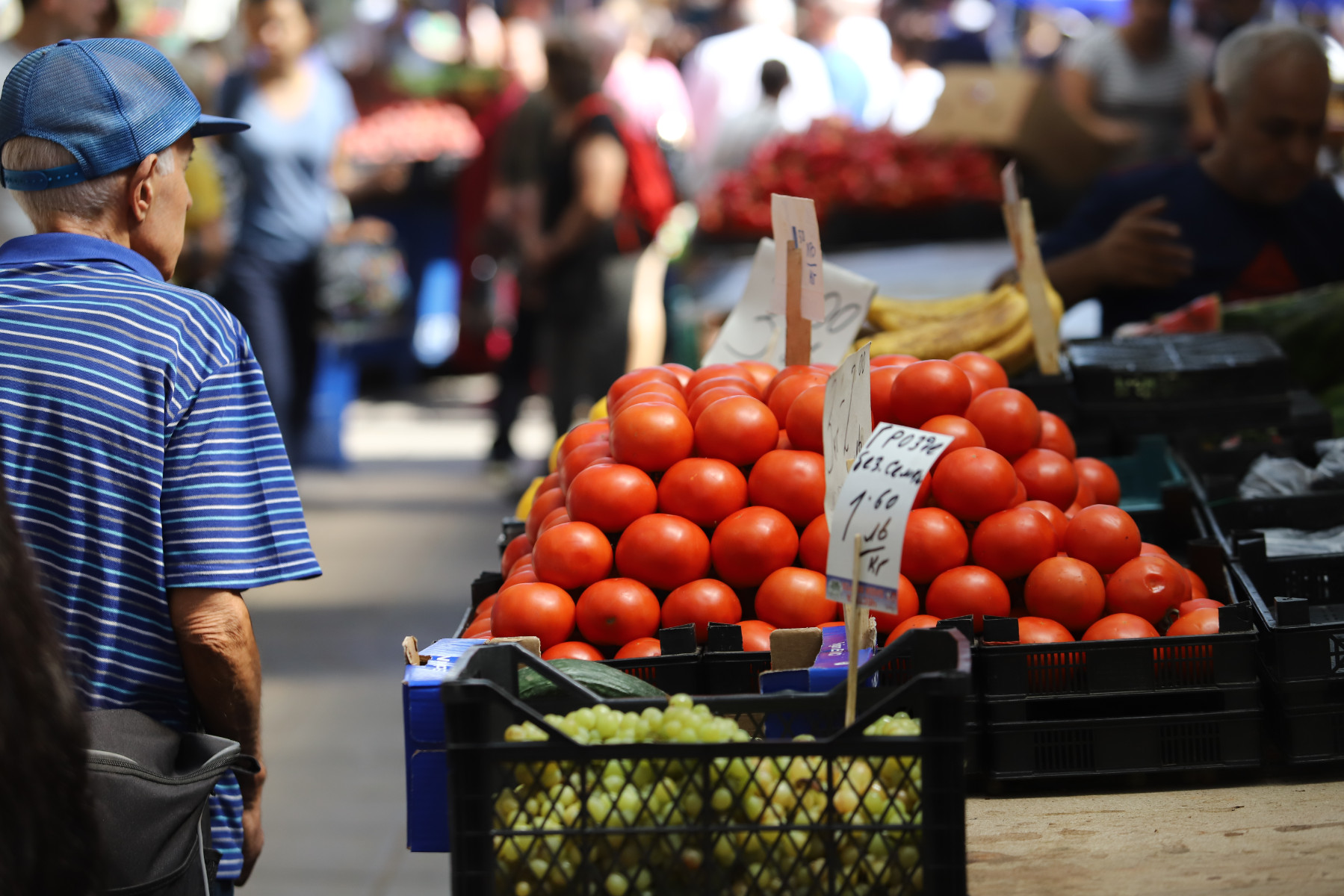 Wholesale food prices in Bulgaria continue to rise