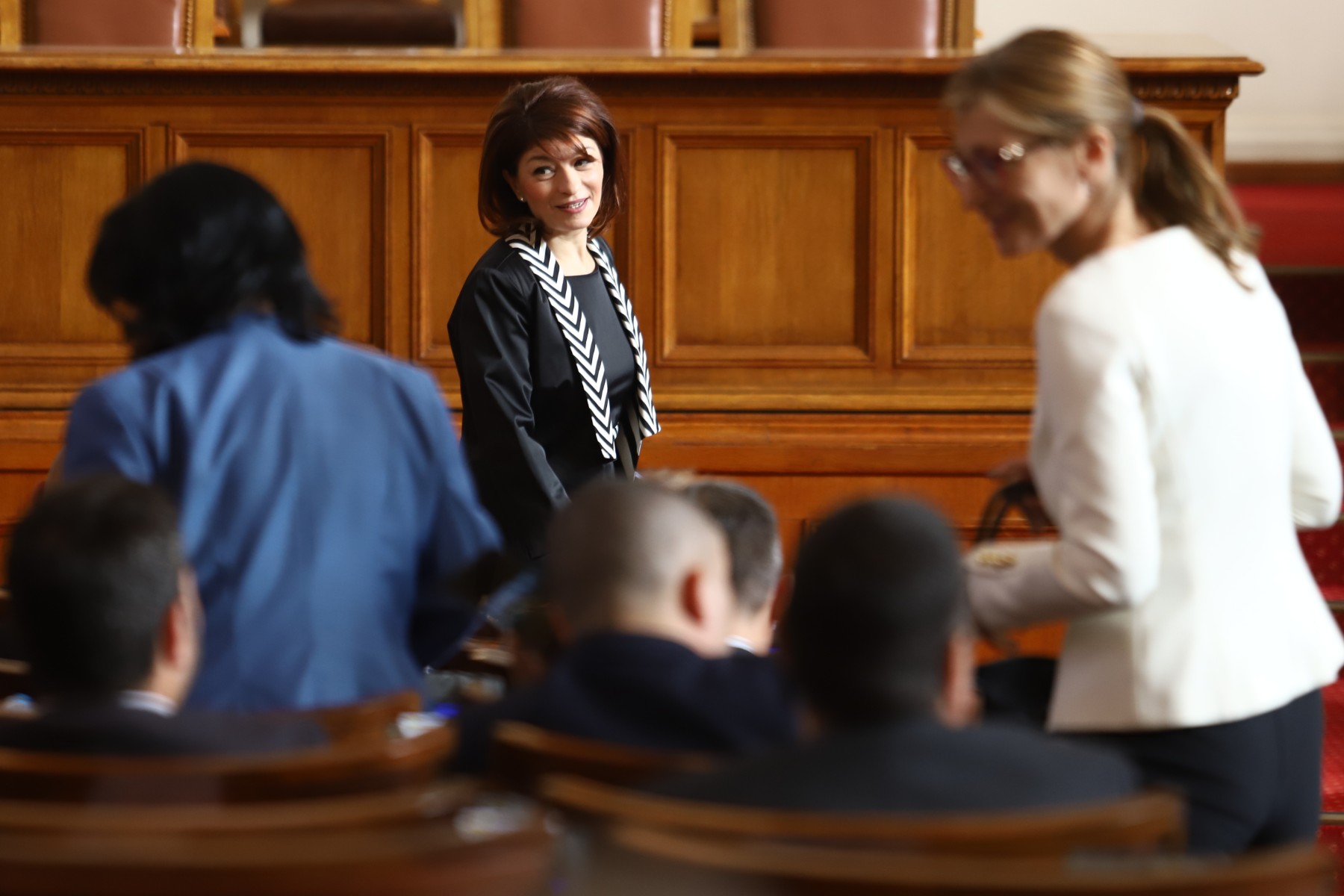 Създават комисии по конституционни и по правни въпроси