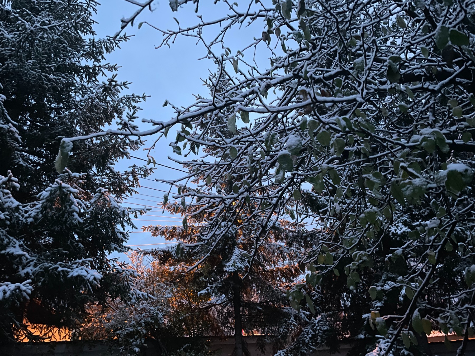 Времето ще бъде облачно, на места ще вали сняг