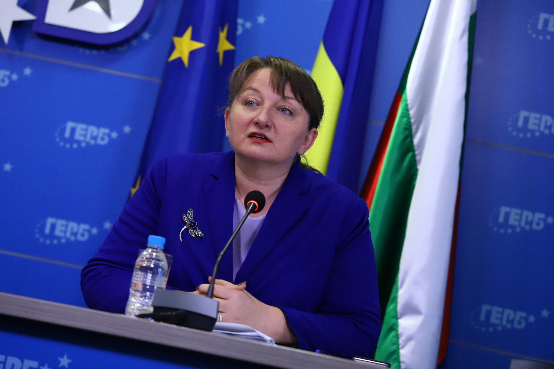 Сачева: Идеалното правителство е възможното правителство