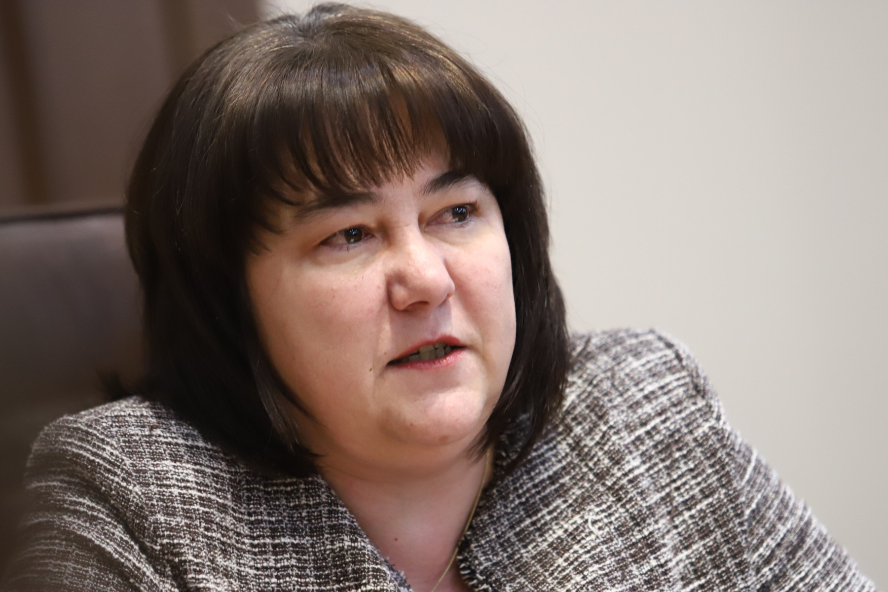 Велкова: Отлага се влизането в еврозоната