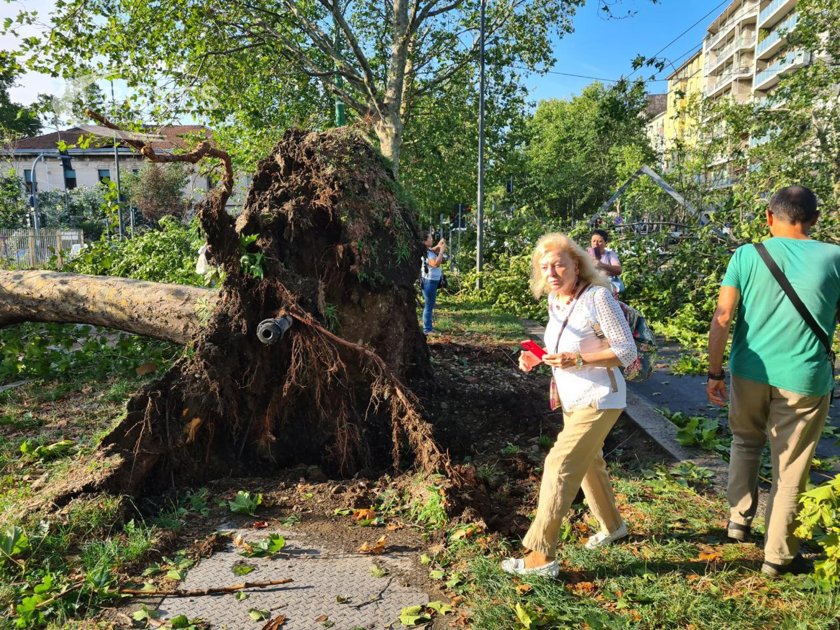 Буря събори дървета в Милано, а пожар затвори летището в Сицилия