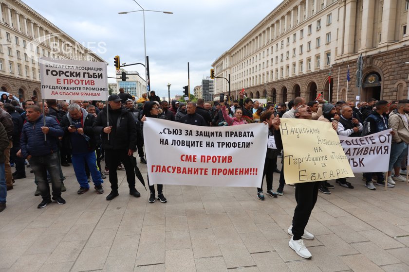 Протест пред НС: Не убивайте сектора с гъбите
