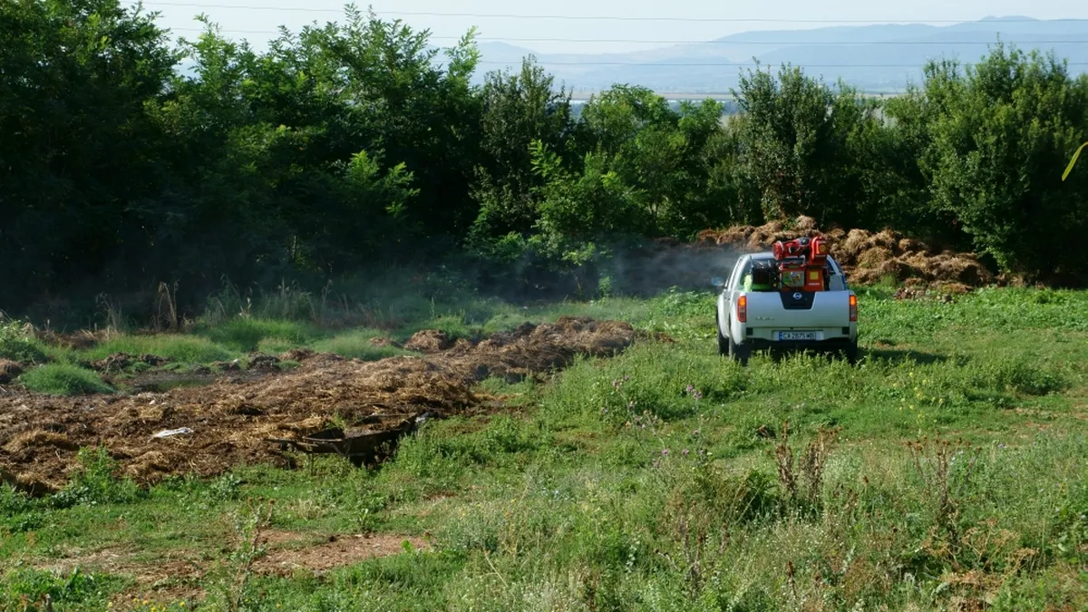 БАБХ установи огнище на заболяването Син език в село Ново село, област Кюстендил