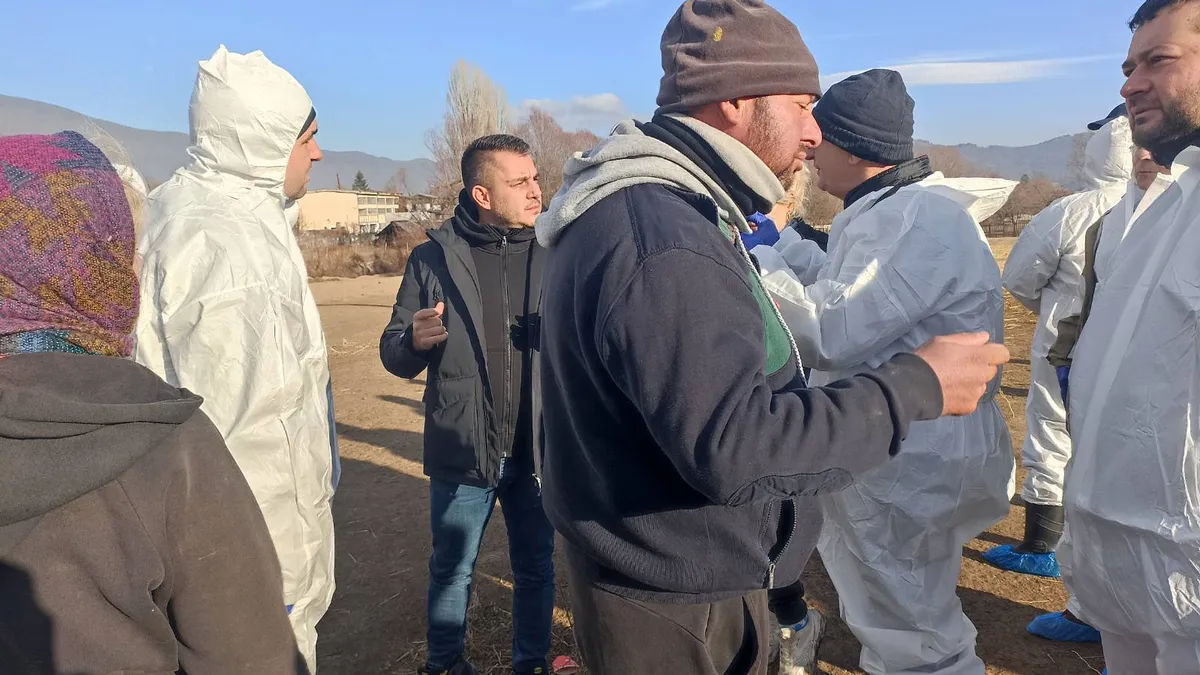 БАБХ взе 315 допълнителни проби от 105 овце в заразеното с чума стопанство във Велинград