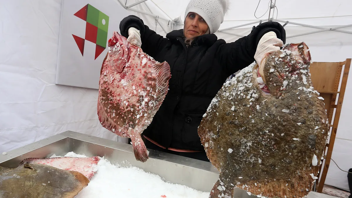  България увеличава квотата за улов на калкан в Черно море с 10% годишно  