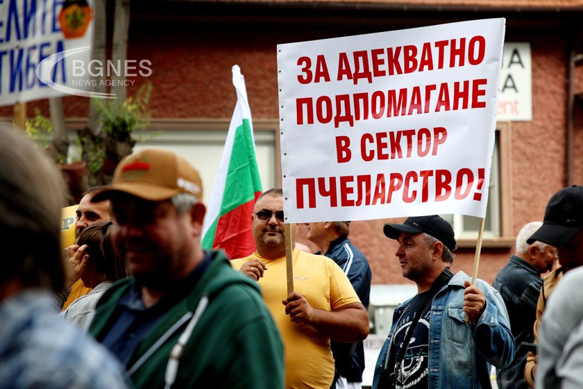 Пчелари на протест пред земеделското министерство