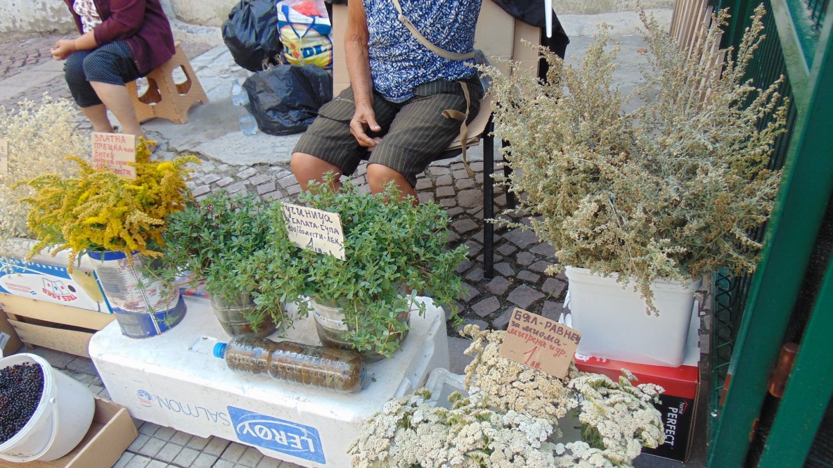 Билки, укрепващи имунитета