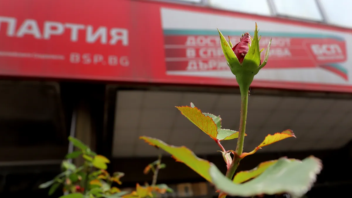 БСП се събира на Национален съвет след оставката на Нинова