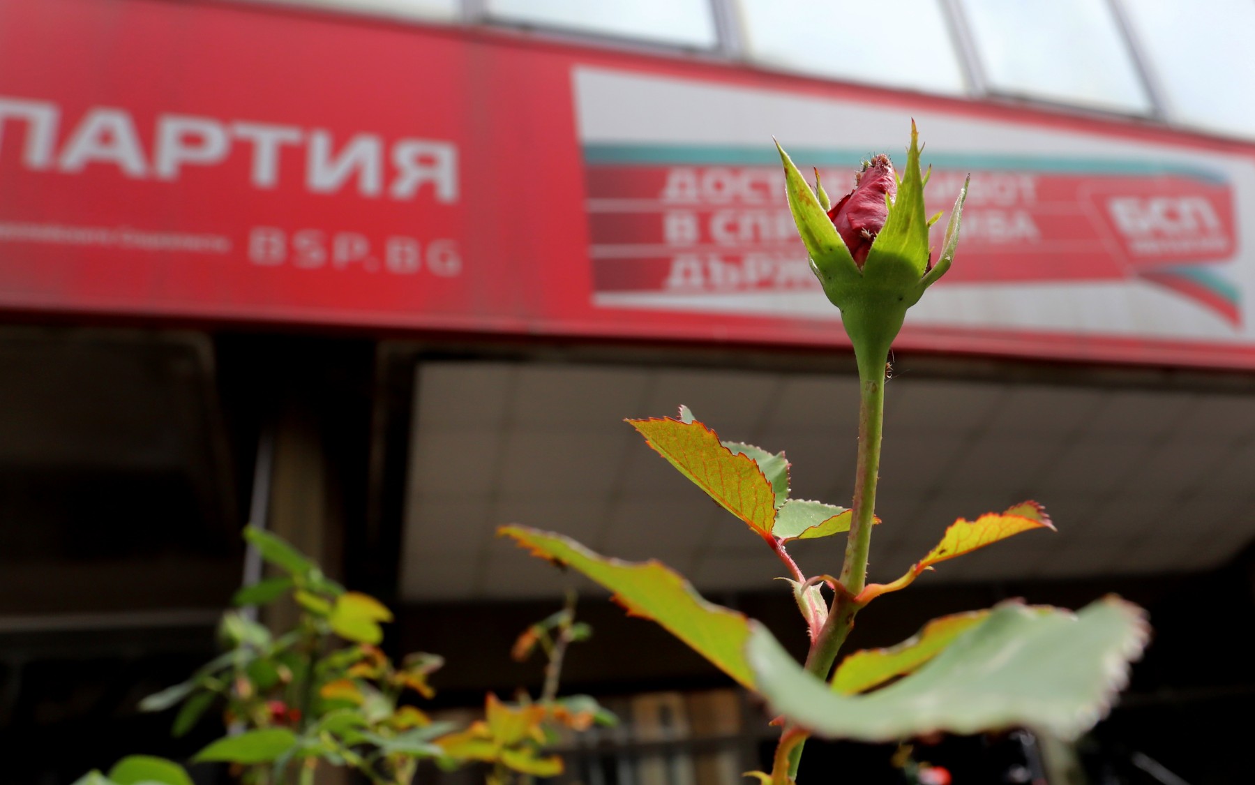 БСП настоява за нормализиране и развитие на българо-руските отношения