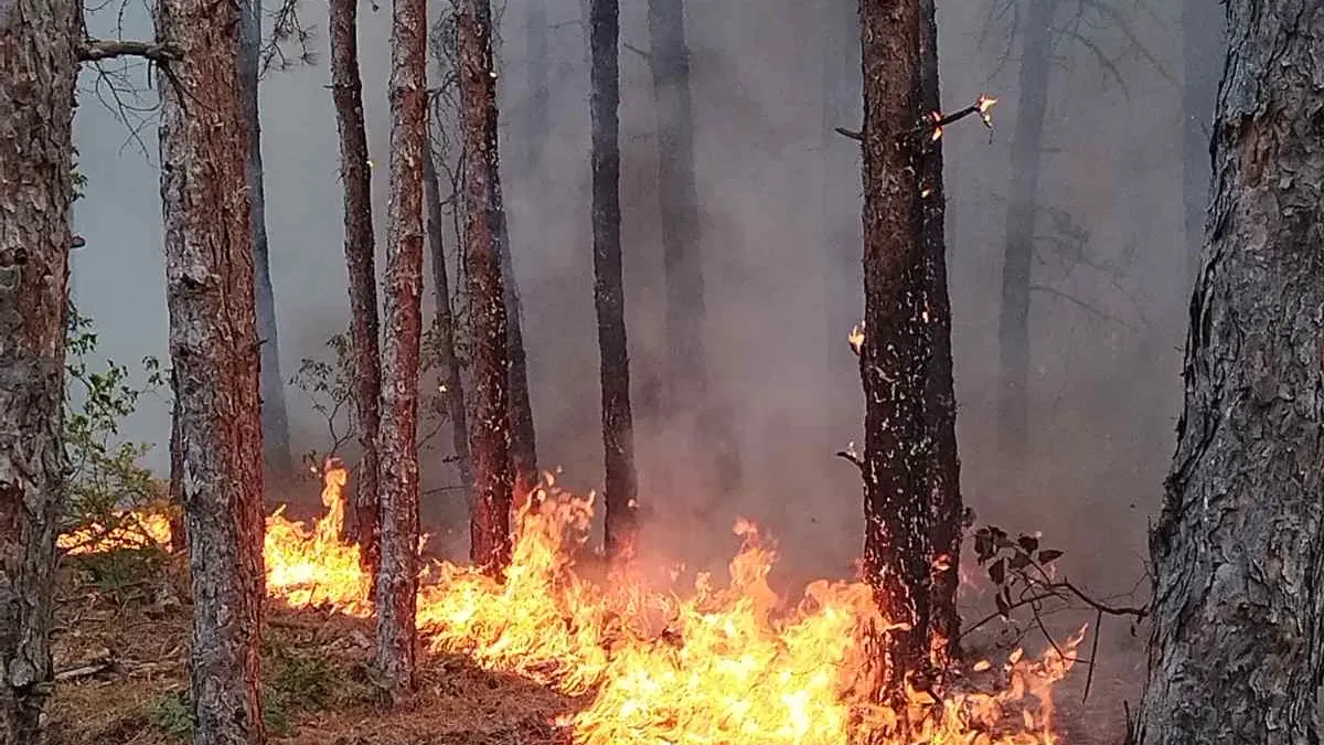 Частично бедствено положение в Хисаря и Калояново заради пожарите