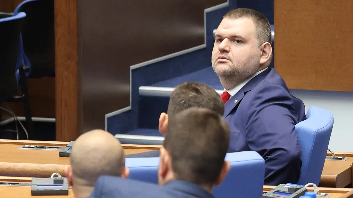 Делян Пеевски поиска спешен председателски съвет за бедстващите от пожарите