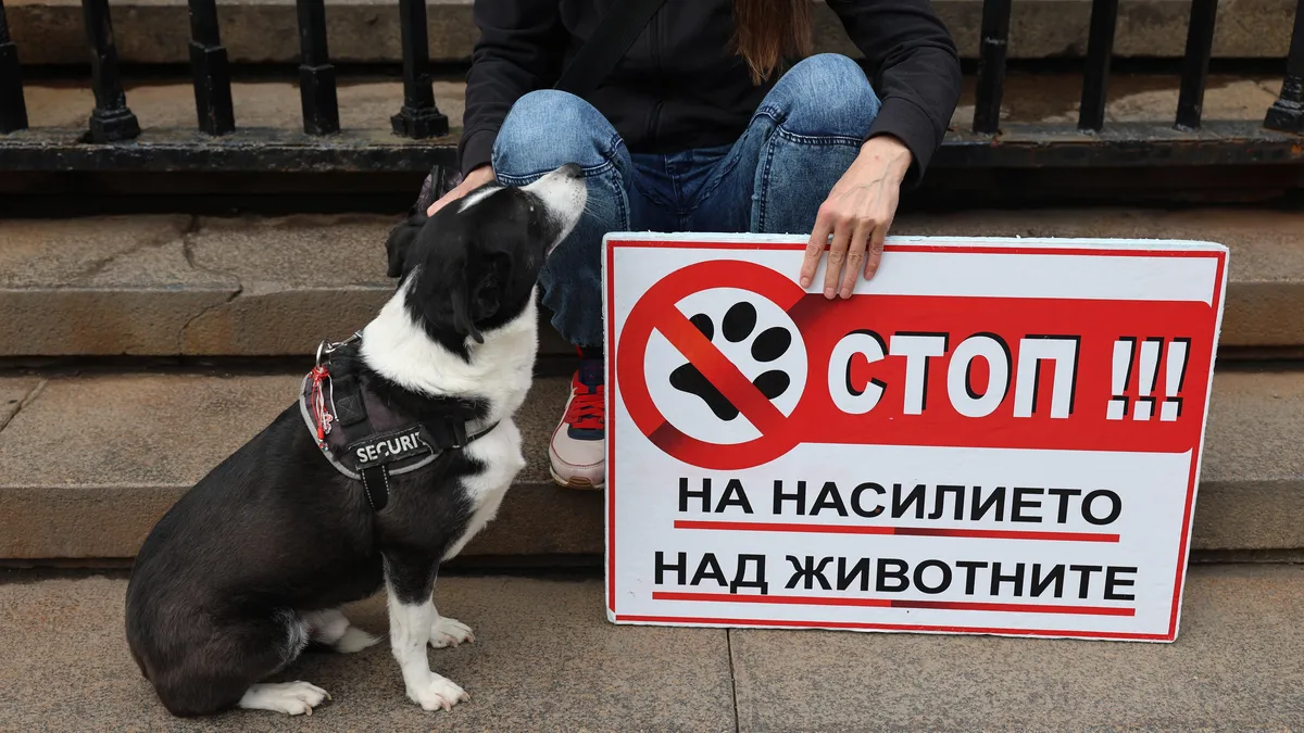 Десетки градове на бунт срещу насилниците над животни: Искаме затвор, не глоби
