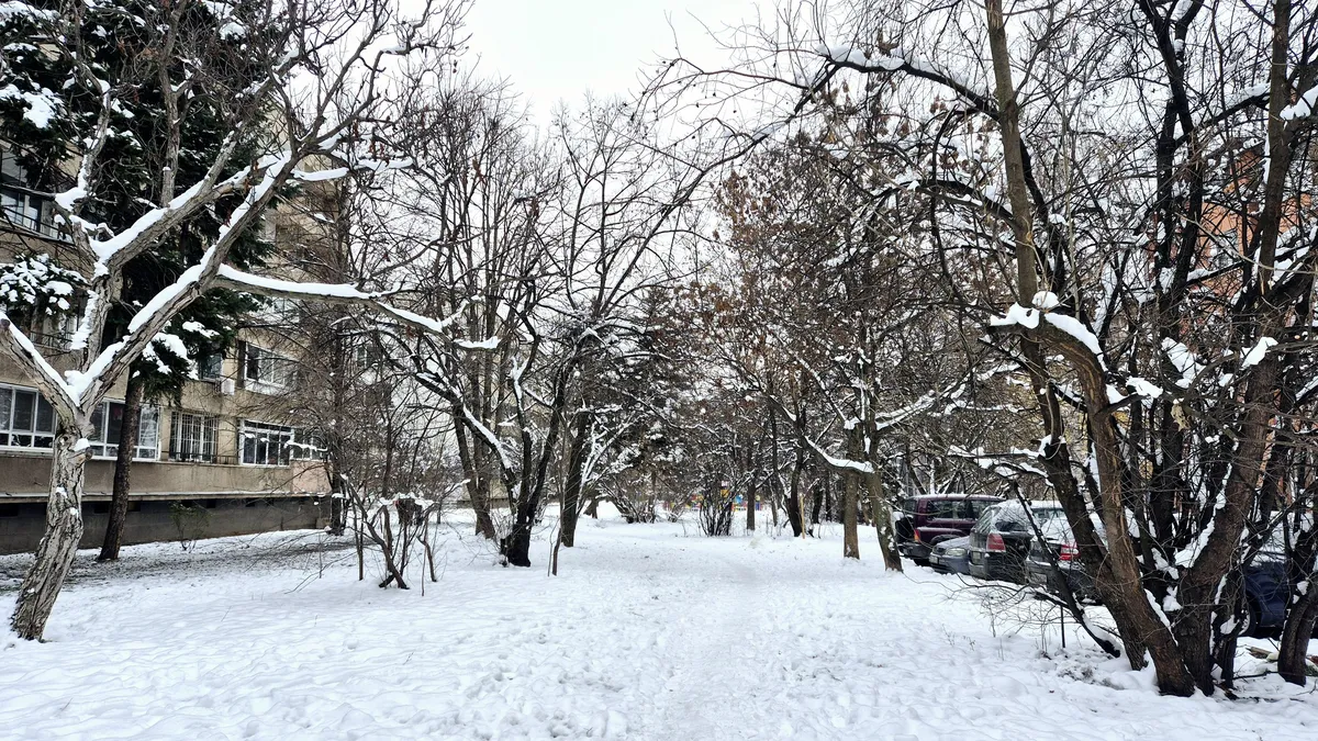 До минус 20 градуса в петък, следобед между минус 5 и 6 градуса