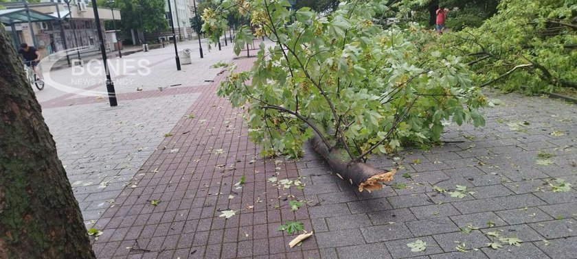 Жестока буря нанесе щети в Търговище