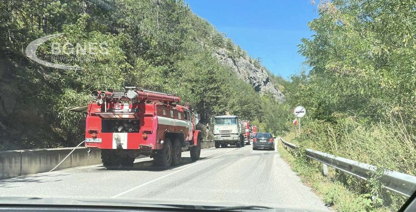 Пожарът над село Хвойна обхвана над 400 декара борова гора