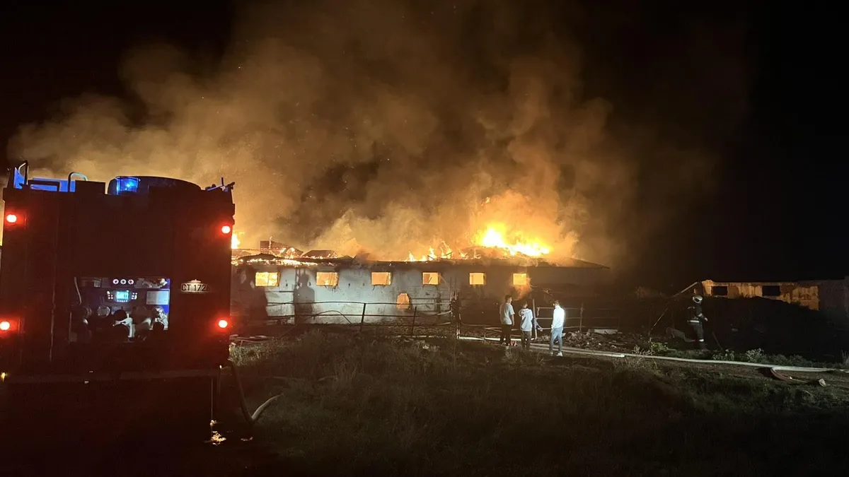 Голям пожар изпепели ферма в Кънчево, загинаха над 15 крави