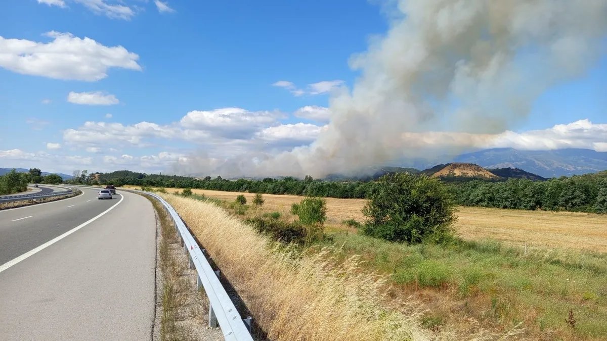 Голям пожар край Мурсалево