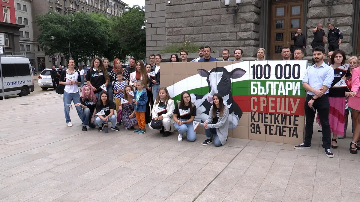 Граждани внесоха над 110 хил. подписа в НС с искане за забрана на клетките за телета