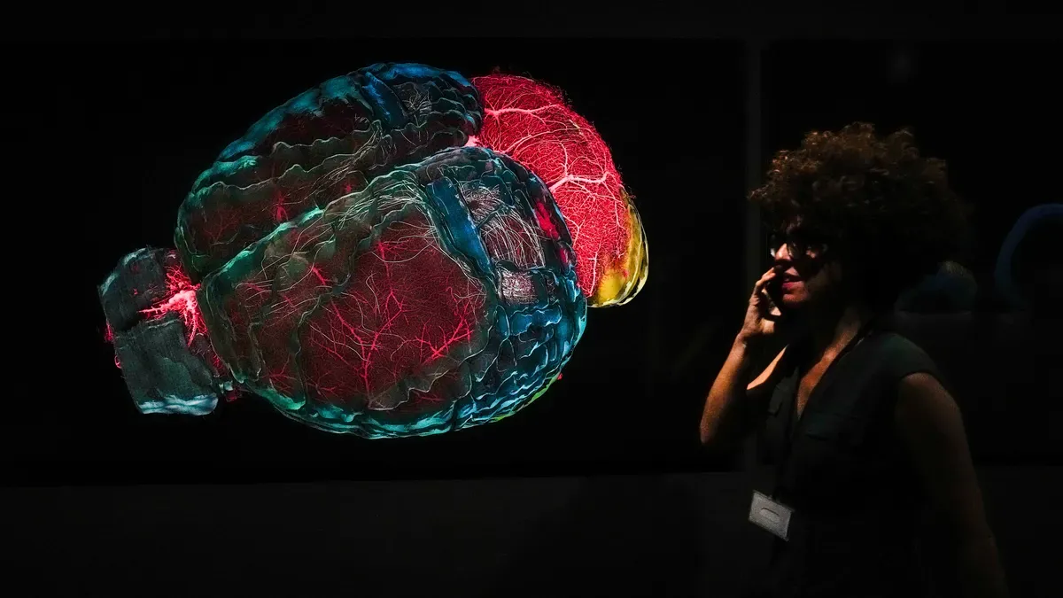 Илон Мъск: Neuralink имплантира мозъчен чип на втори пациент 