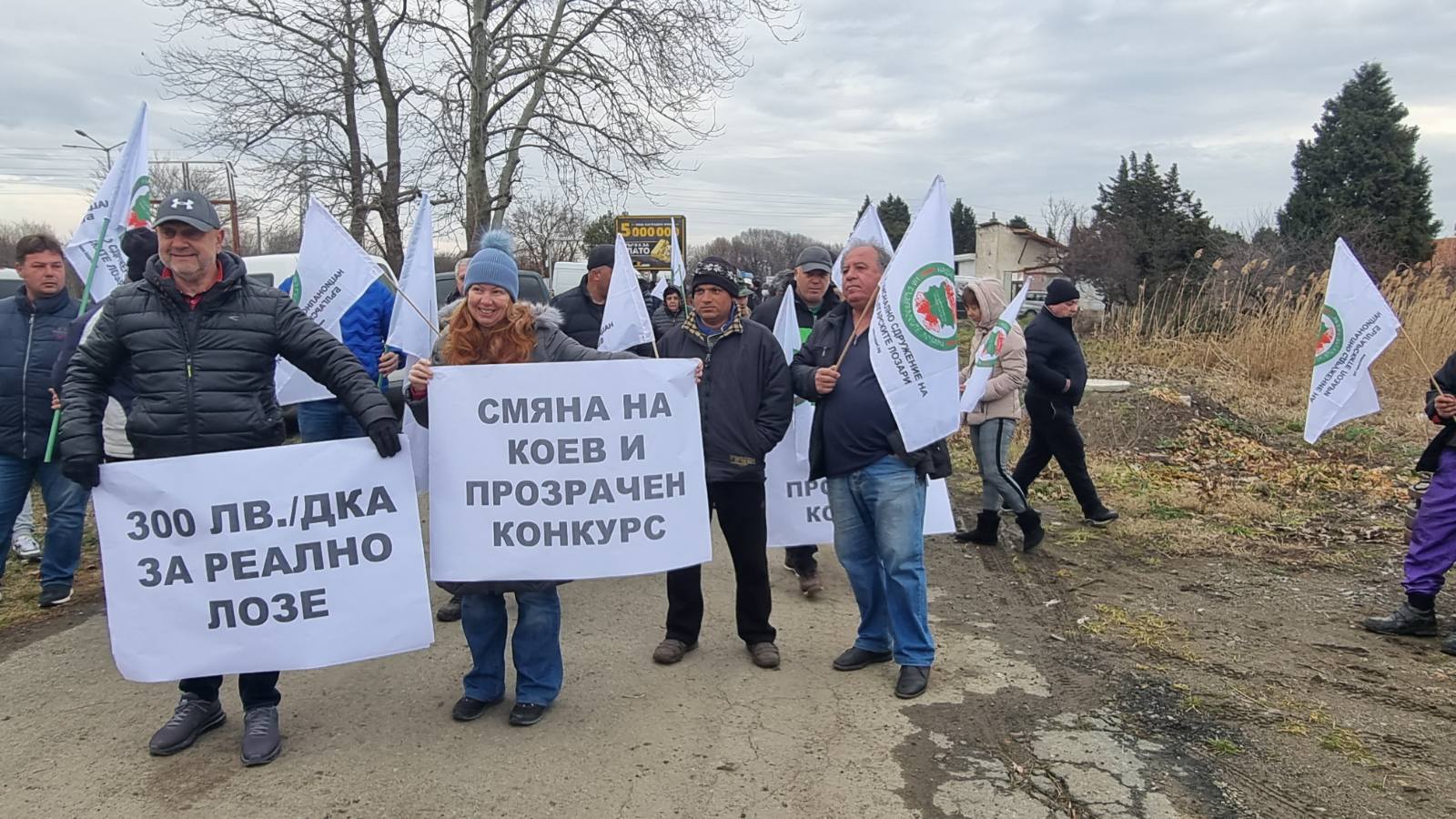 Лозари на протест, ще изкоренят лозята си
