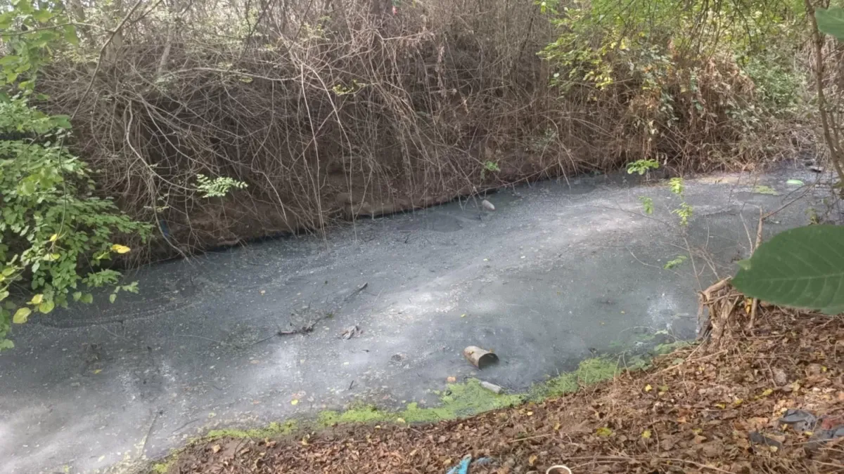 Казан за ракия превърна във вонящо блато река в село Воден