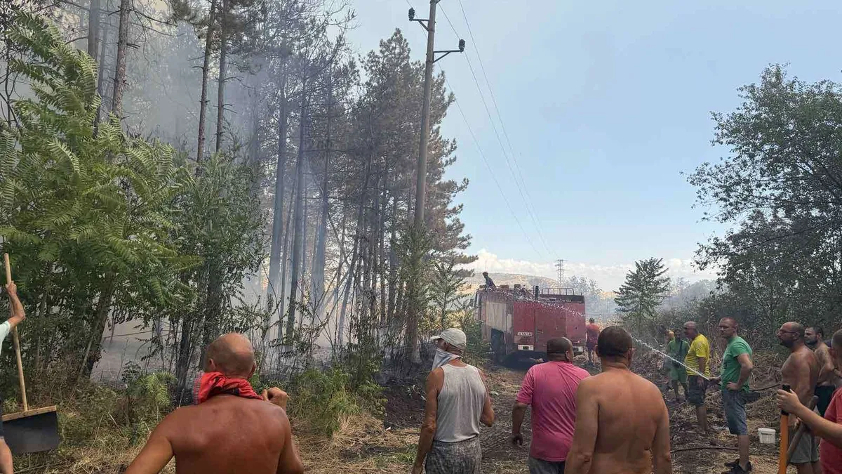 "Кугар", пожарникари, военни и доброволци се борят с пожара край Българово