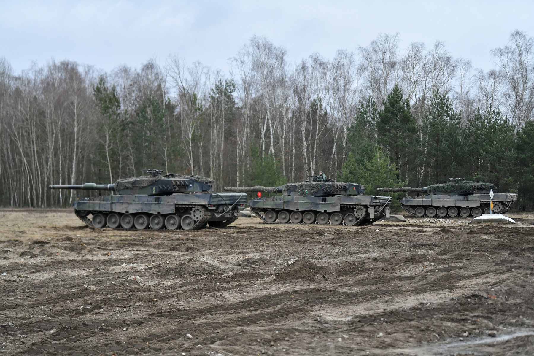 "Die Welt": Нидерландия и Дания няма да доставят танкове Leopard 2 на Украйна