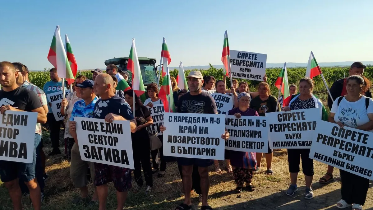 Лозари и винопроизводители от Поморие протестират срещу наредбата за кантари в масивите 