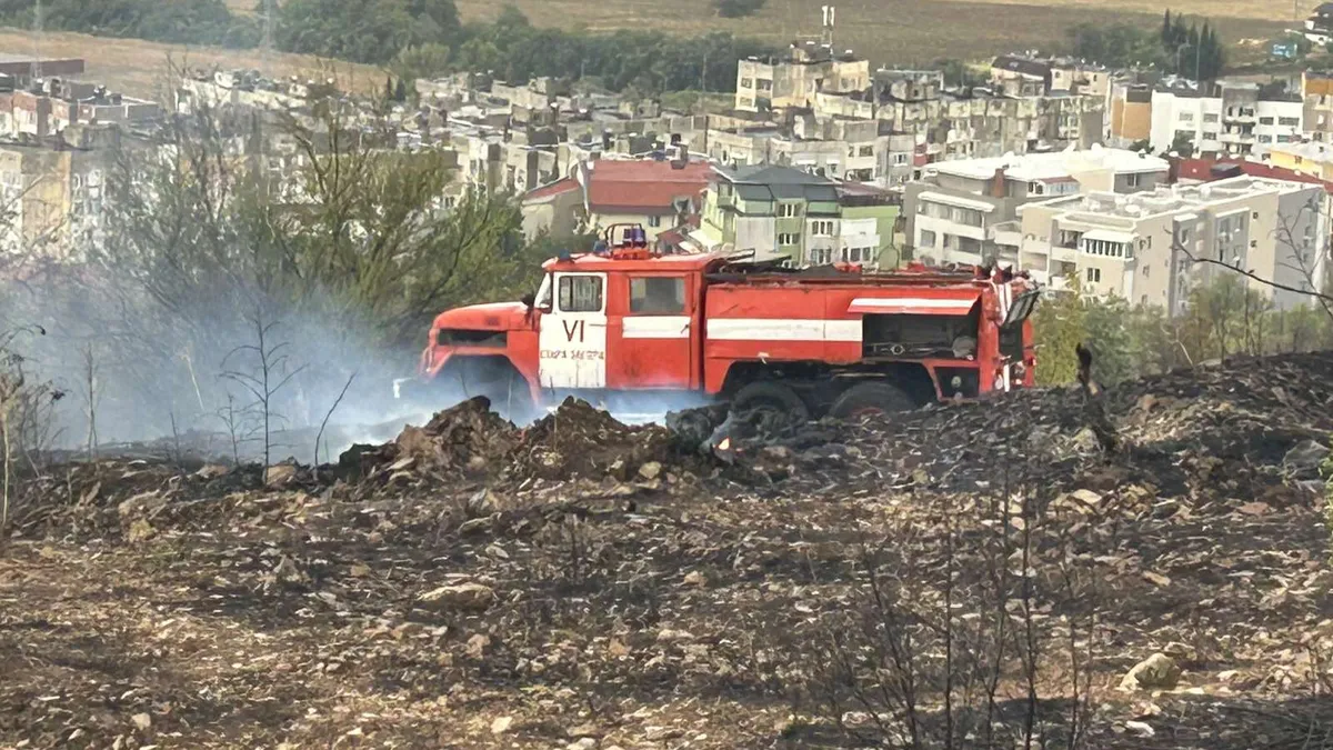 Мълния предизвика пожар в борова гора край Стара Загора, стихията е овладяна