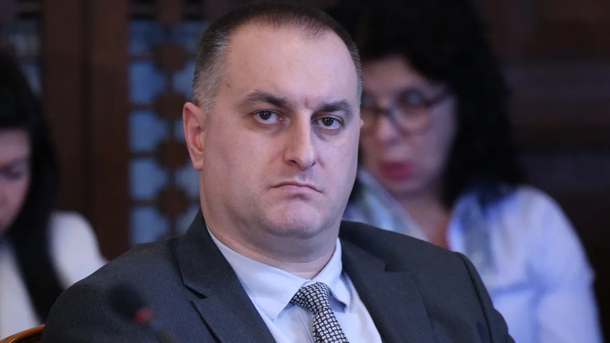 МЗХ: Има чума по овцете във Велинград, вероятно заради нелегален внос на животни
