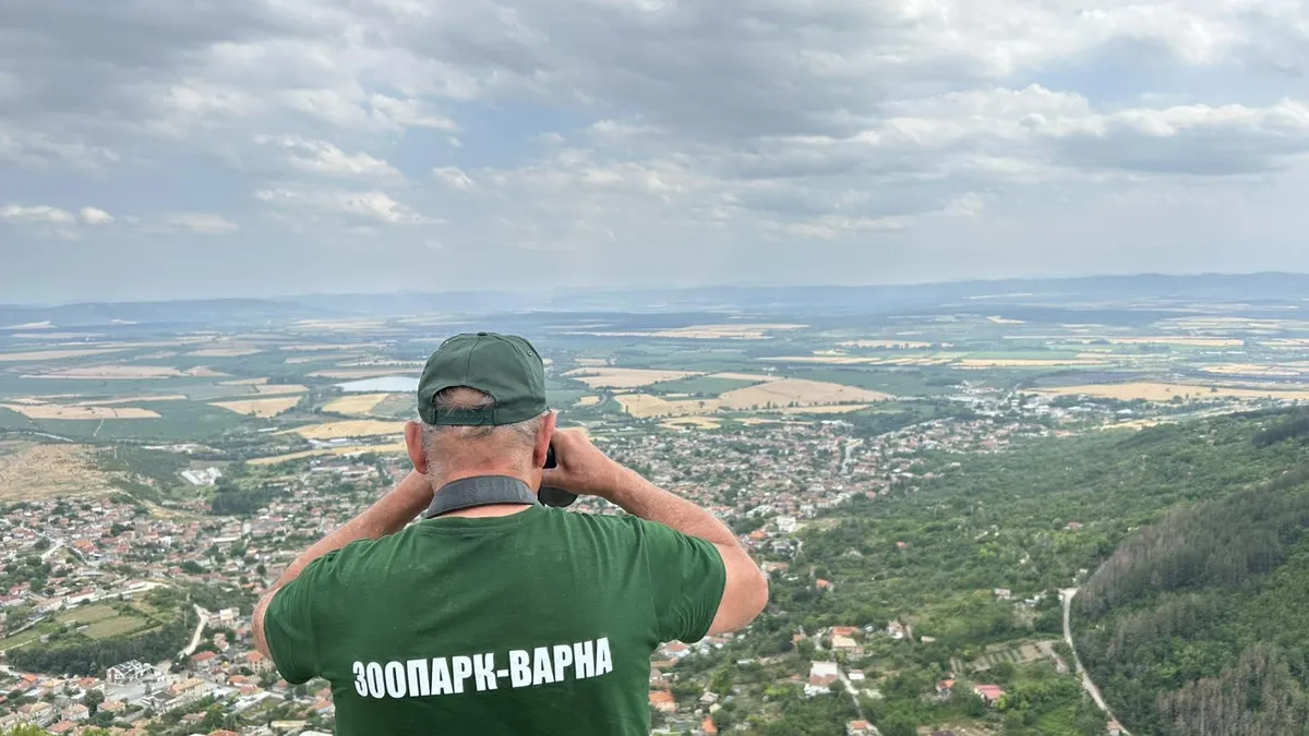 Над 100 души търсят пумата на територия от над 1000 декара в Шумен