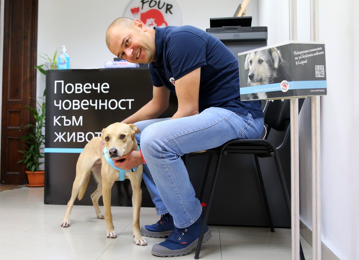Нарастват случаите на насилие над животни след карантината