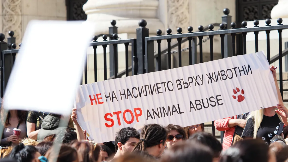 Нов протест в София срещу насилието над животни в неделя