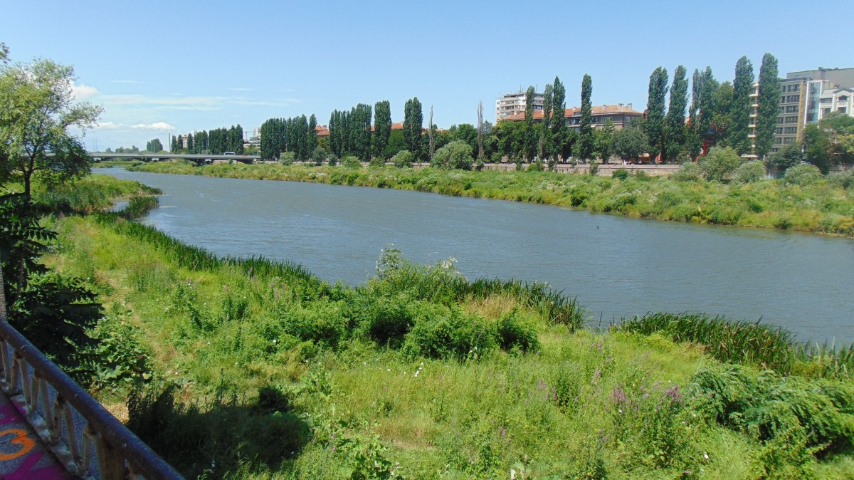 Няма опасност за водата на Пловдив заради отровената риба