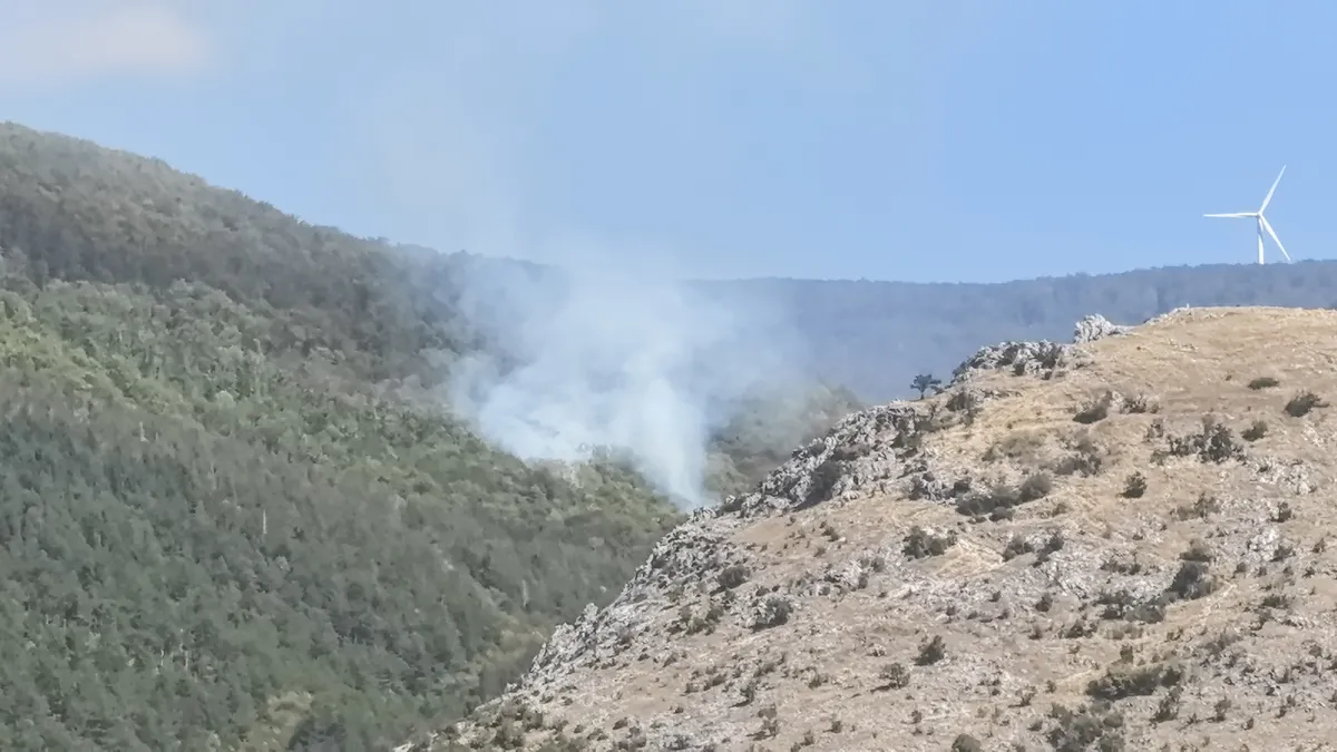 Огнеборци гасят пожар в гората под връх Бузлуджа